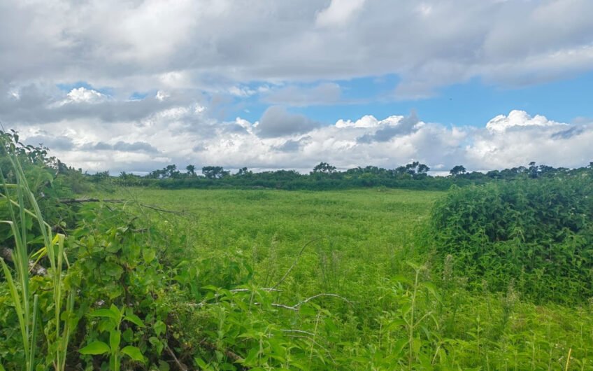 For sale agricultural land at Morcellement Agricole SIT at La Flora.