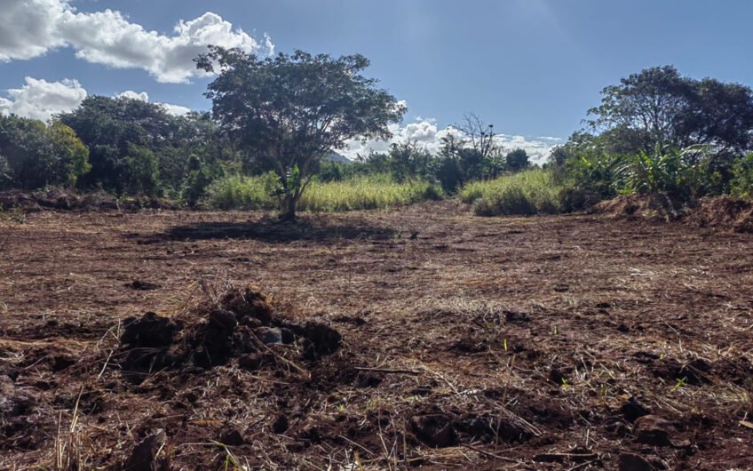 Agricultural land for sale at Surinam!