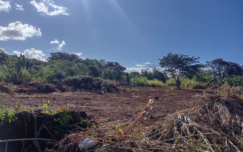 Agricultural land for sale at Surinam!