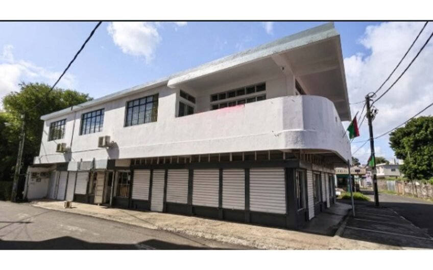 For sale commercial building of 8000sqft at Glen Park crossroads, Vacoas