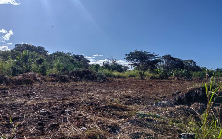 Agricultural land for sale at Surinam!
