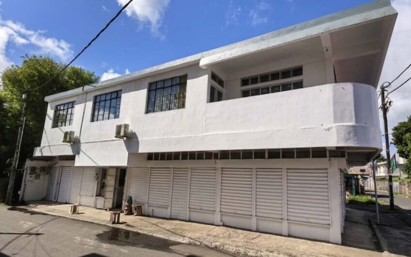For sale commercial building of 8000sqft at Glen Park crossroads, Vacoas
