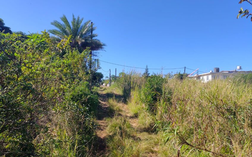Agricultural land for sale at Surinam!