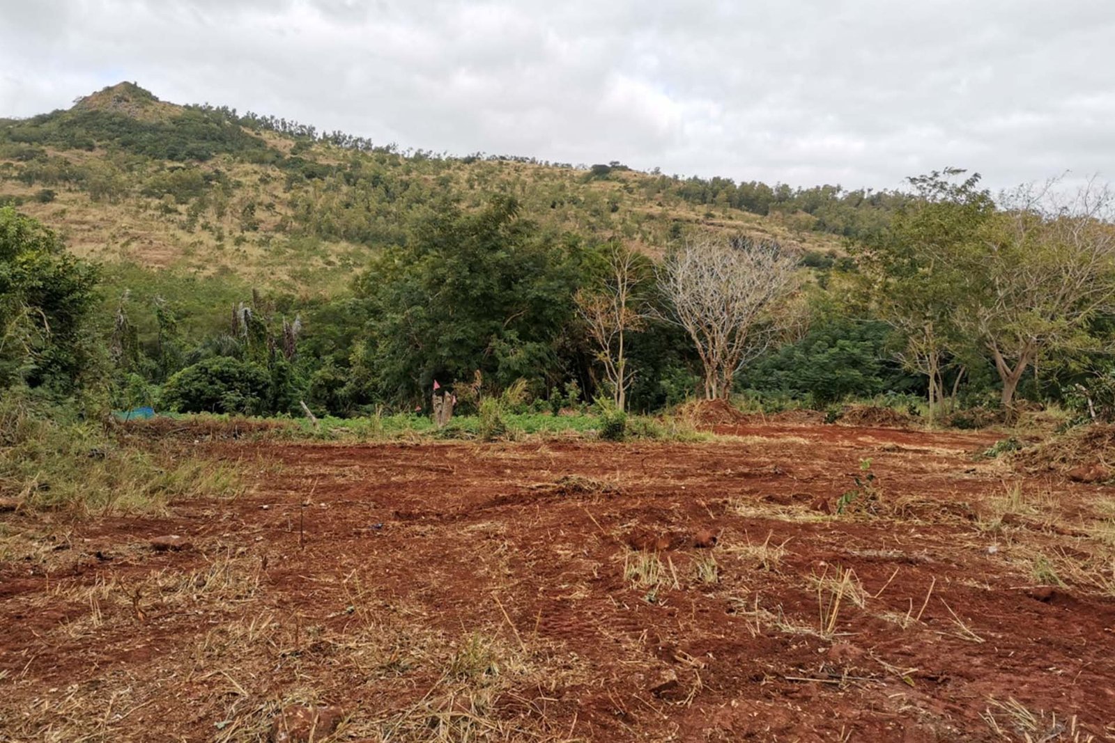 A spacious residential plot available for sale in Terre Rouge.