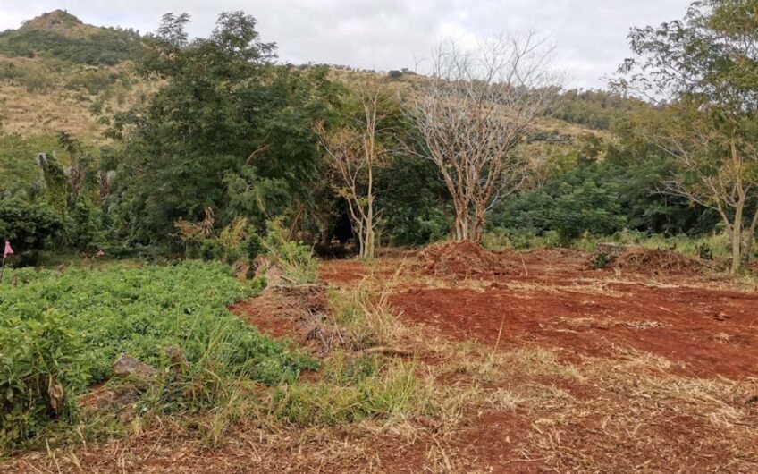 A spacious residential plot available for sale in Terre Rouge.