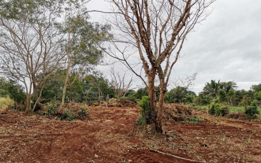 A spacious residential plot available for sale in Terre Rouge.